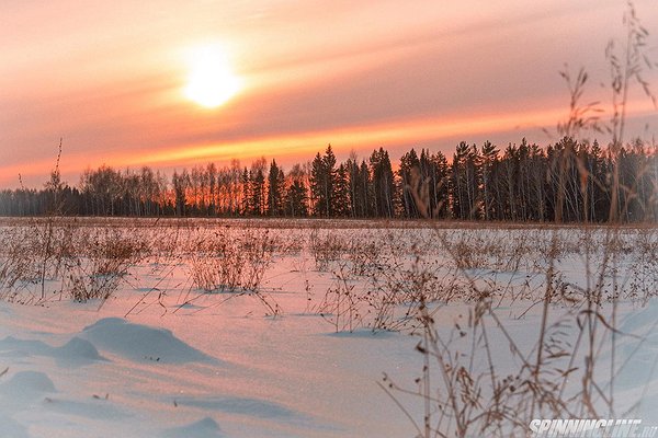 Изображение 1 : Рыбалка 24 января 2016 г.