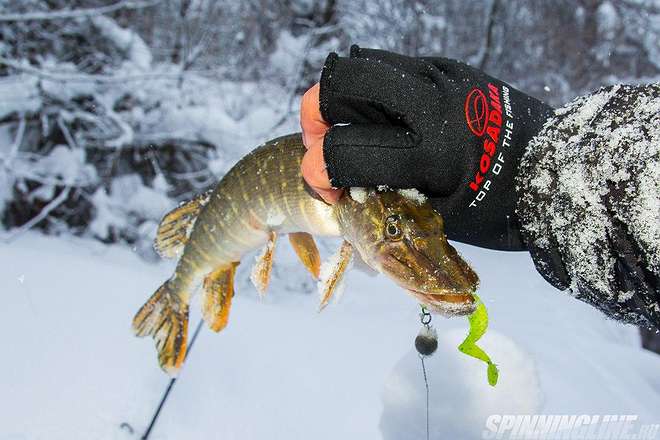 Изображение 1 : Отзыв о перчатках Kosadaka Fishing Gloves-17