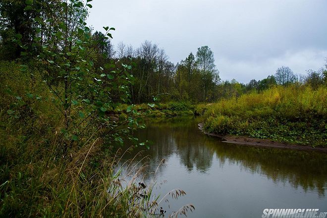 Изображение 1 : Осень на малой реке, щука